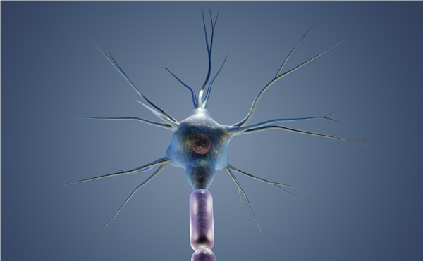 科學家馴服寄生蟲幫人類治病:可攜帶藥物進入大腦