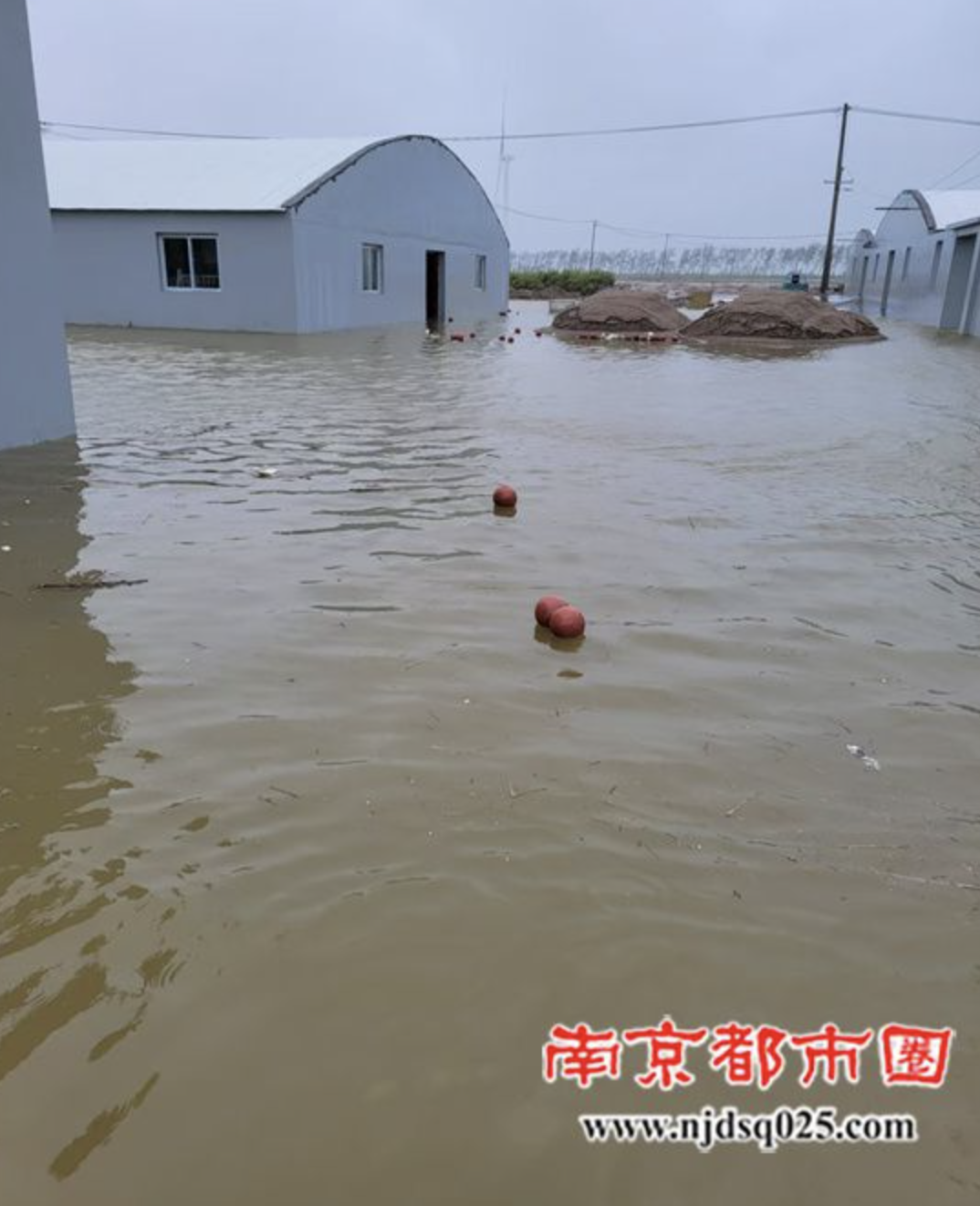 截屏2025-07-14 09 截屏2025-07-14 09