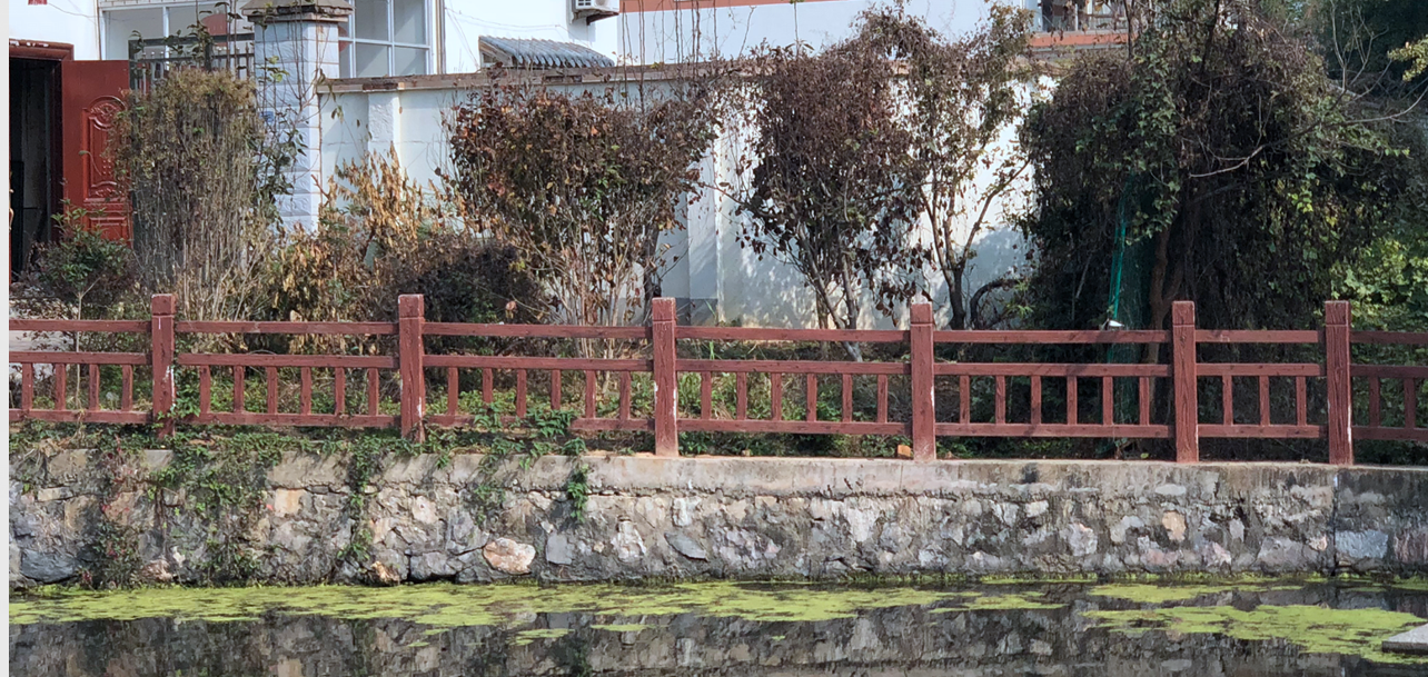 池塘邊的集體土地被人用來(lái)栽種果樹(shù)，還設(shè)置了柵欄。南報(bào)融媒體記者胥欣攝