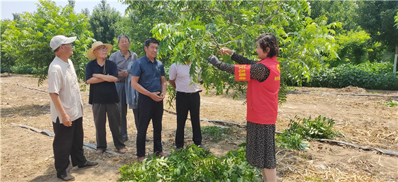 邳州農(nóng)業(yè)技術(shù)專(zhuān)家深入鄉(xiāng)村傳授實(shí)用技術(shù)助力鄉(xiāng)村振興