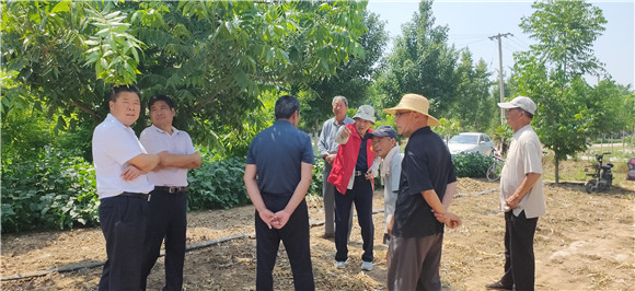 邳州農(nóng)業(yè)技術(shù)專(zhuān)家深入鄉(xiāng)村傳授實(shí)用技術(shù)助力鄉(xiāng)村振興